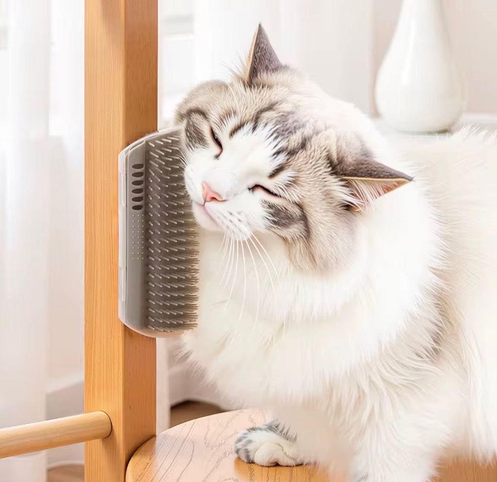 Fiffig kattmassageborste med kattmynta