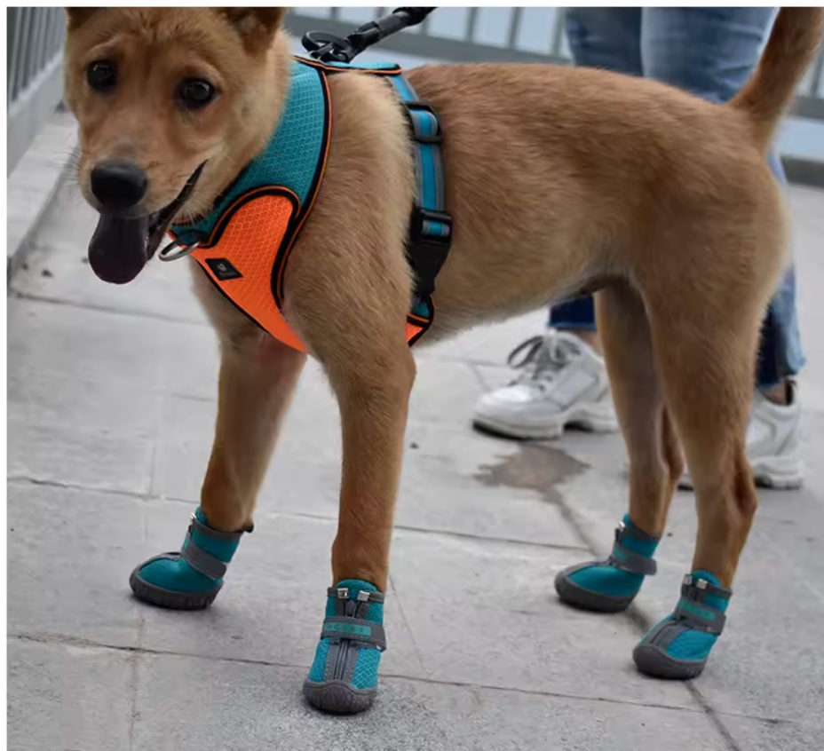 Hundboots, set på 4st -finns i tre olika färger och i 5 olika storlekar